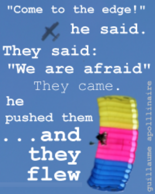 theyflew theyflew